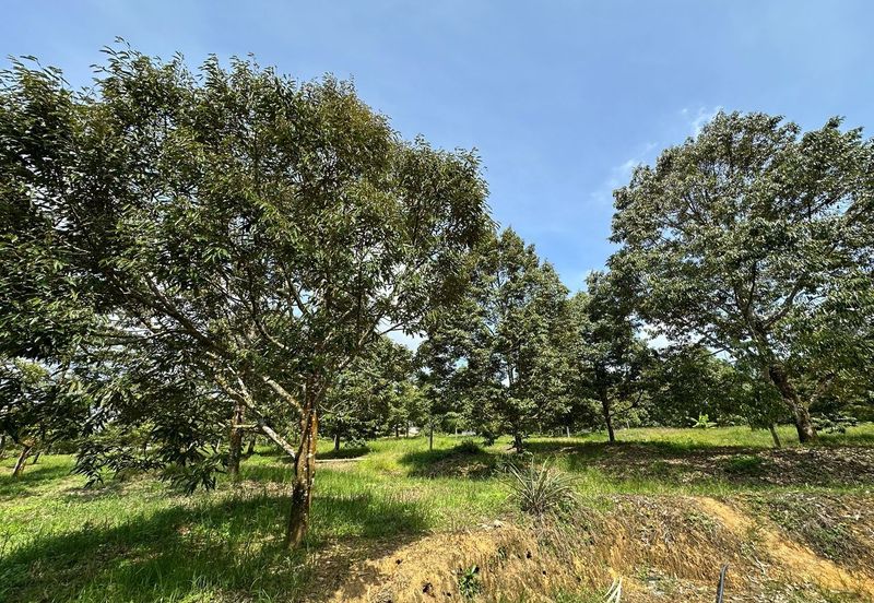 Residensi Prima Kota Tinggi