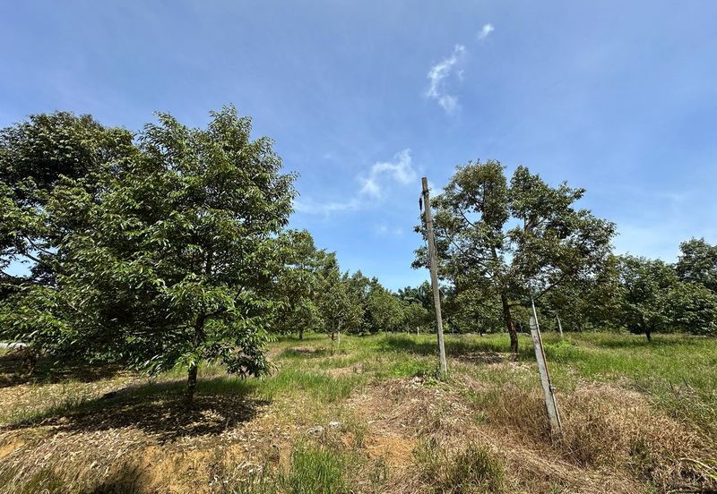 Residensi Prima Kota Tinggi