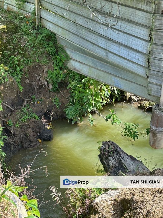 Kota Tinggi 10 acre Durian Land for Sale , Johor, Kota Tinggi