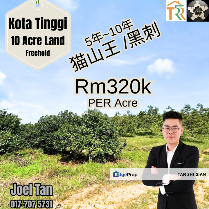 Kota Tinggi 10 acre Durian Land for Sale , Johor, Kota Tinggi