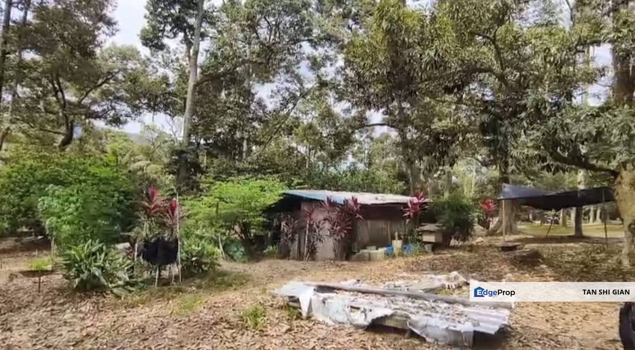 Batu Pahat 3.8 acre land for Sale, Johor, Batu Pahat