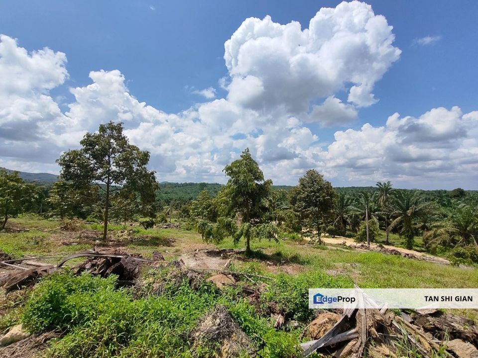 Yong Peng 7Acre land for Sale, Johor, Yong Peng