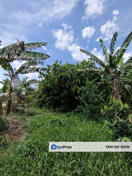 Pontian, Ayer baloi 6.64 acre land for Sale , Johor, Pontian