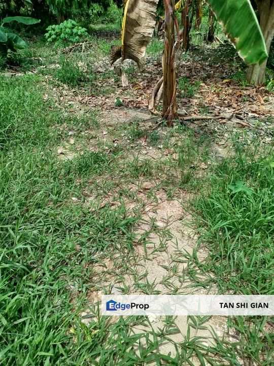 Pontian, Ayer baloi 6.64 acre land for Sale , Johor, Pontian