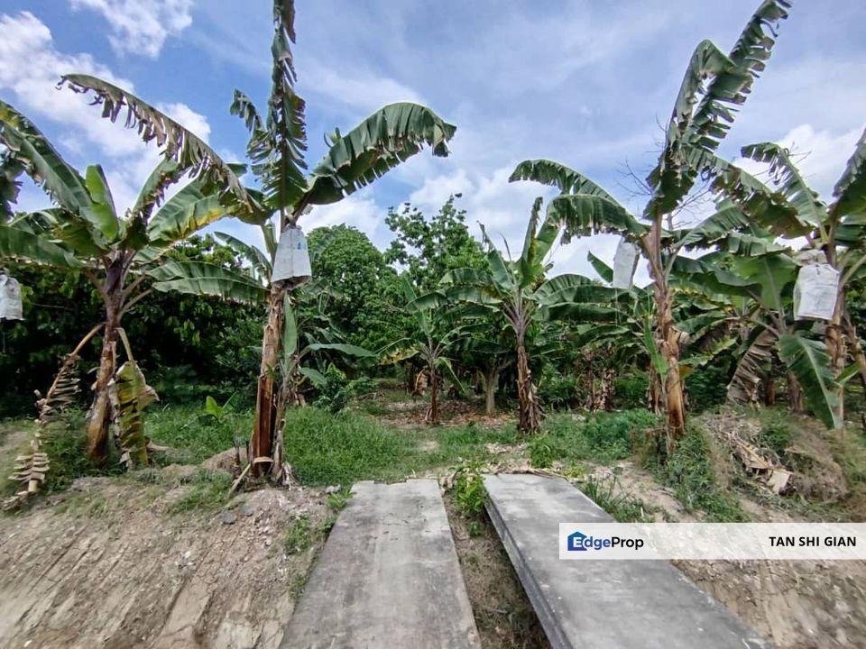 Pontian, Ayer baloi 6.64 acre land for Sale , Johor, Pontian