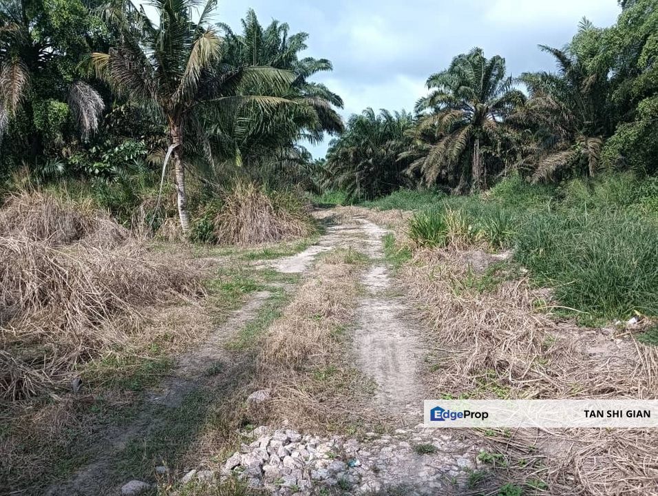 Kluang Paloh 41 acre land for Sale , Johor, Kluang