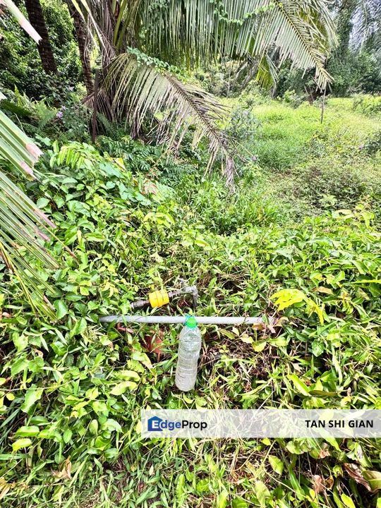 Pontian 3.5 acre Seaside Land for Sale , Johor, Pontian