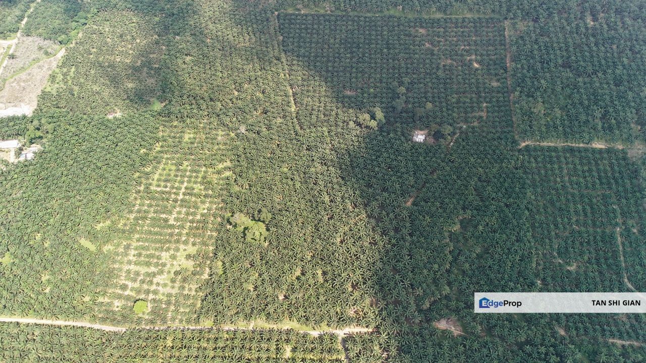 Kota Tinggi 8 acre land for Sale , Johor, Kota Tinggi