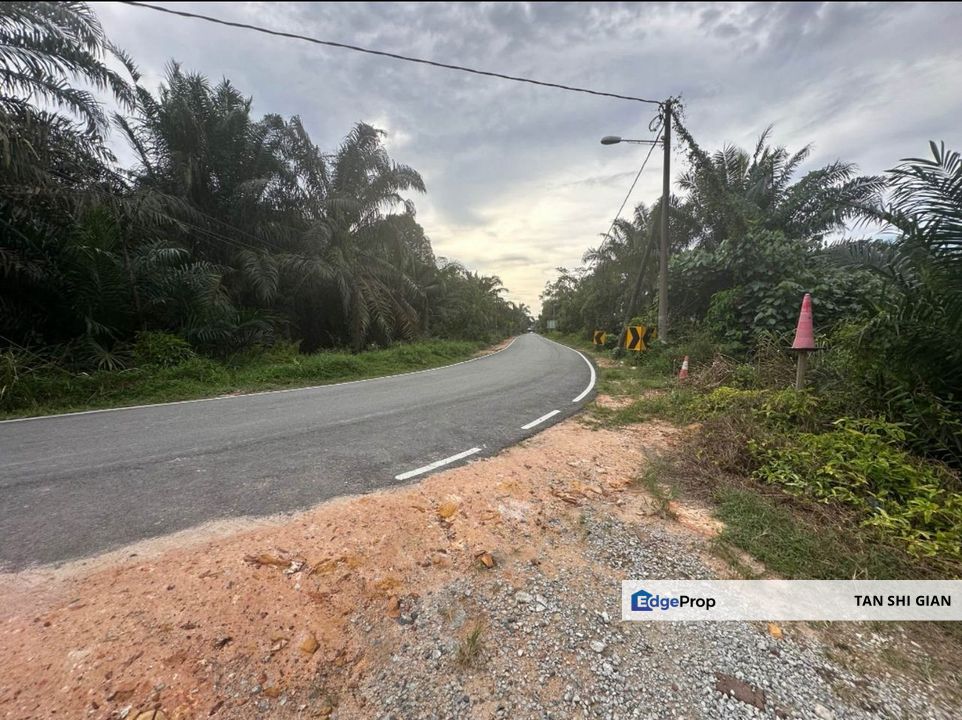 Pontian Kecil 7.7 acre Land for Sale , Johor, Pontian