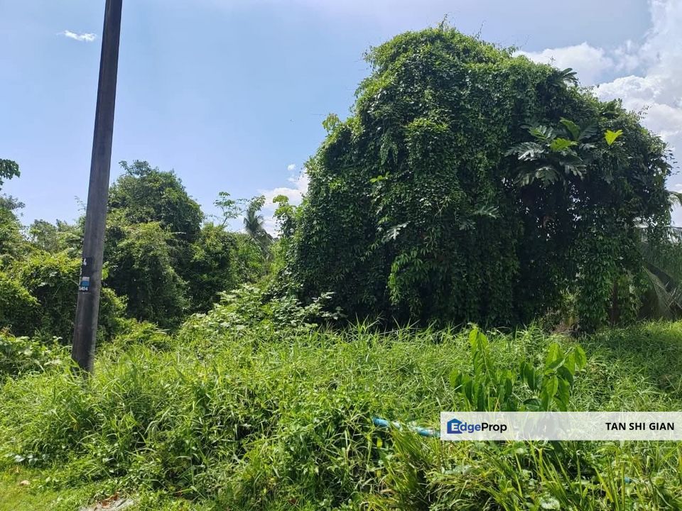 Pontian, Api-Api 5 acre land for Sale , Johor, Pontian