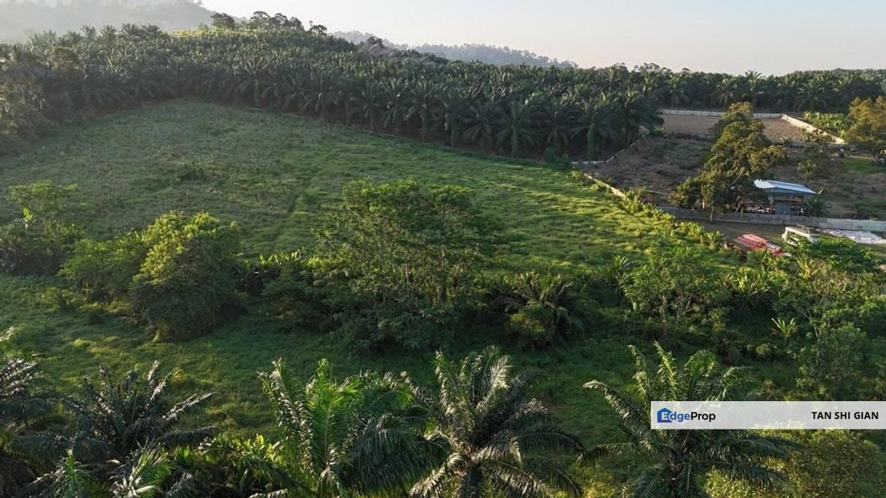 Pontian 29000 sqft land for Sale , Johor, Pontian