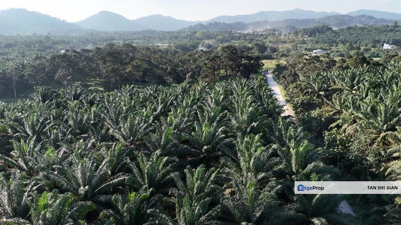 Pontian 5.5 are land for Sale , Johor, Pontian