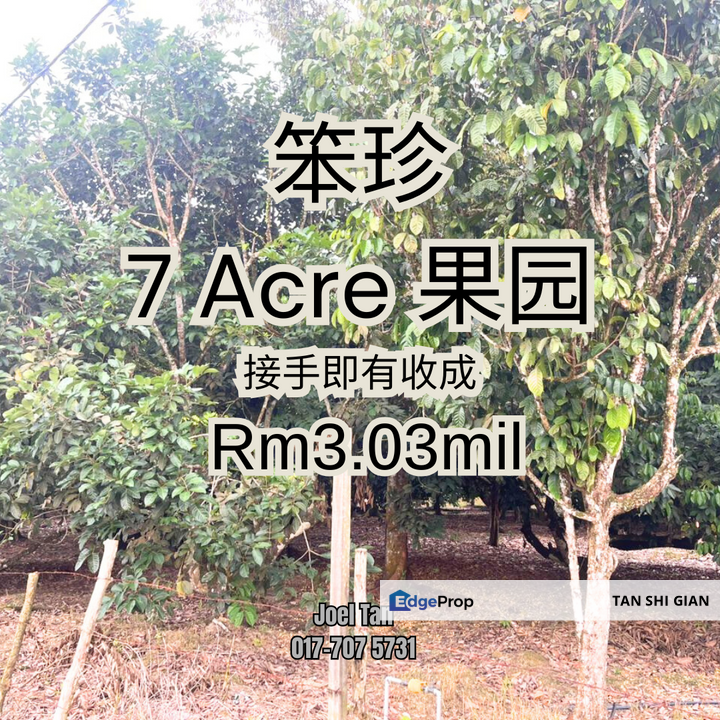 Pontian 7 acre land for Sale, Johor, Pontian