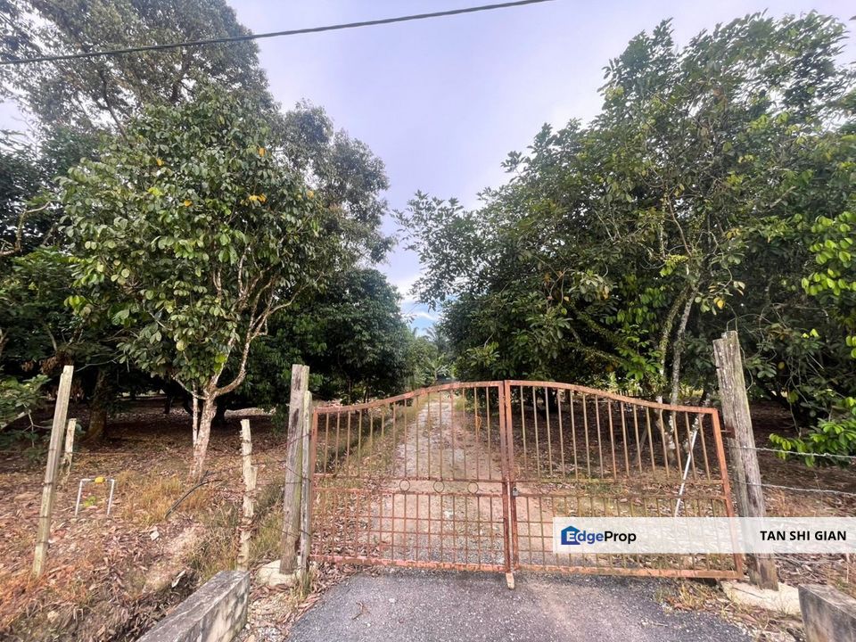 Pontian 7 acre land for Sale, Johor, Pontian