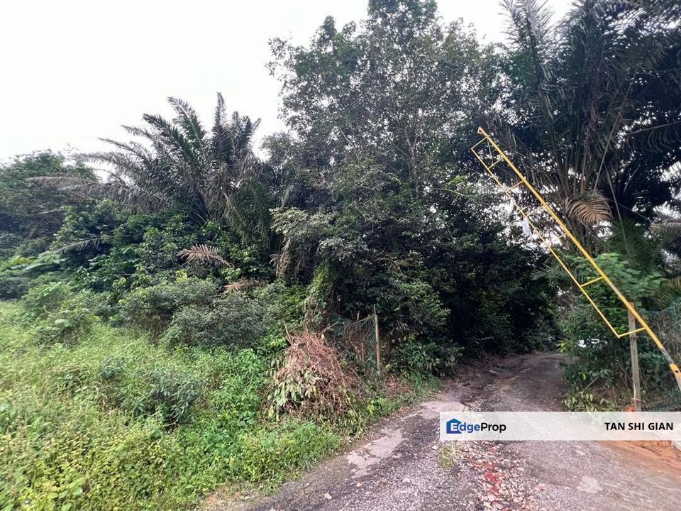 Ban Foo 7acre land for Sale , Johor, Ulu Tiram