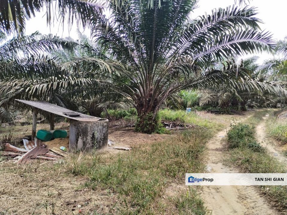 Simpang Renggam 52 acre land for Sale, Johor, Simpang Renggam