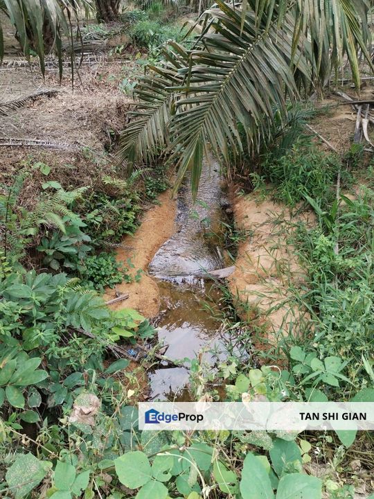 Simpang Renggam 52 acre land for Sale, Johor, Simpang Renggam