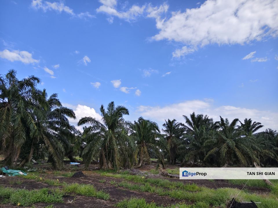 Pontian, Ayer Baloi 4 acre land for Sale, Johor, Pontian