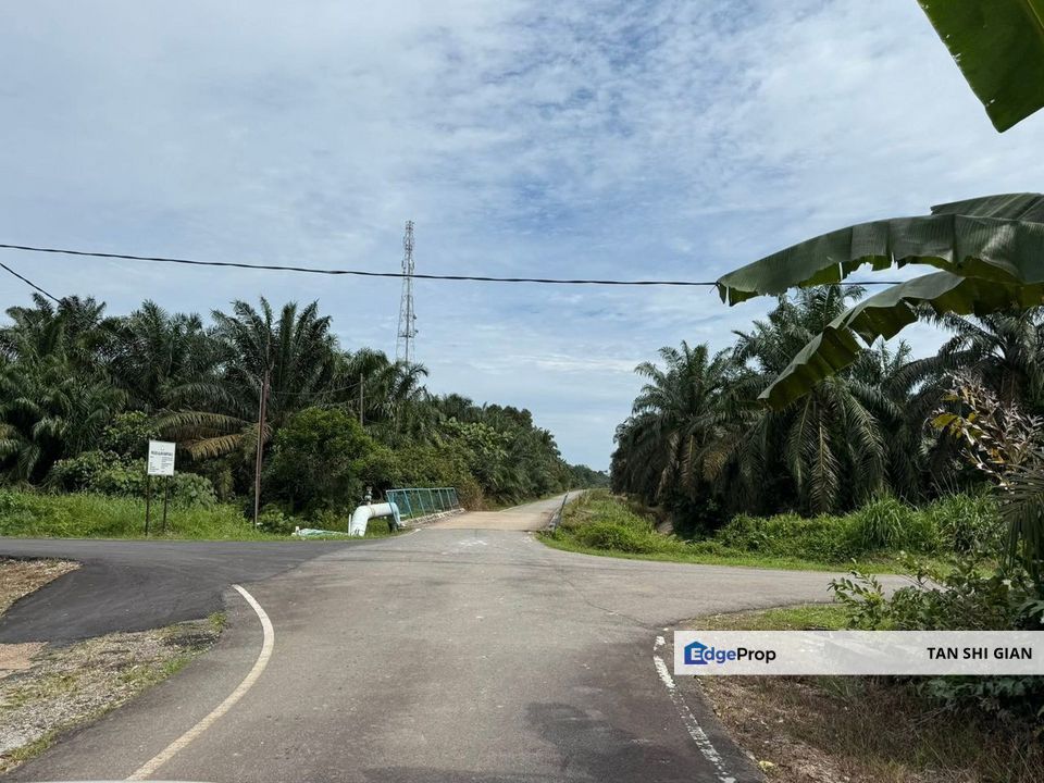 Pontian 4.88 acre land for Sale, Johor, Pontian