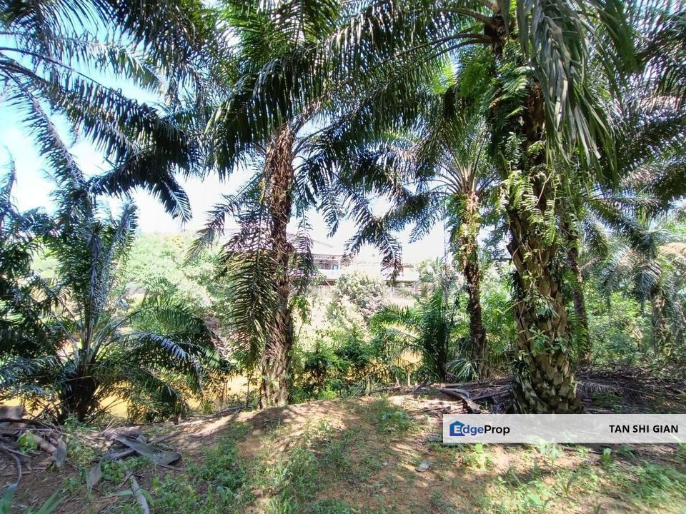 Kulai KotaTinggi 8.3 acre land for Sale, Johor, Kulai