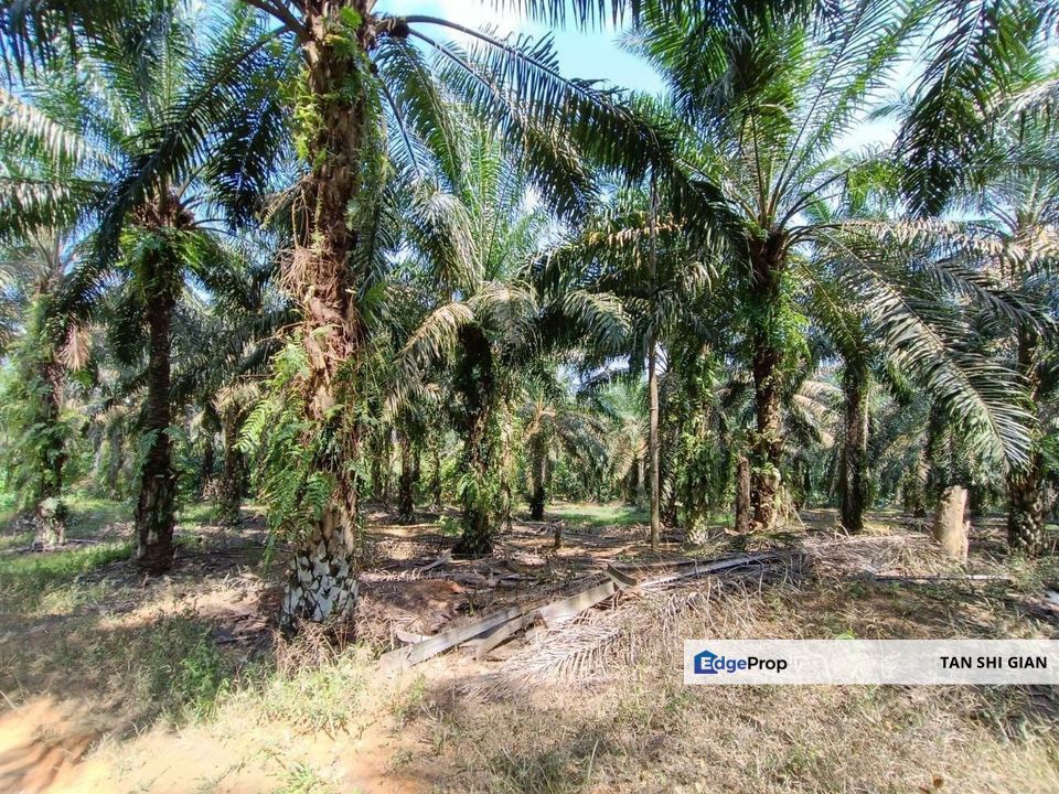 Kulai KotaTinggi 8.3 acre land for Sale, Johor, Kulai