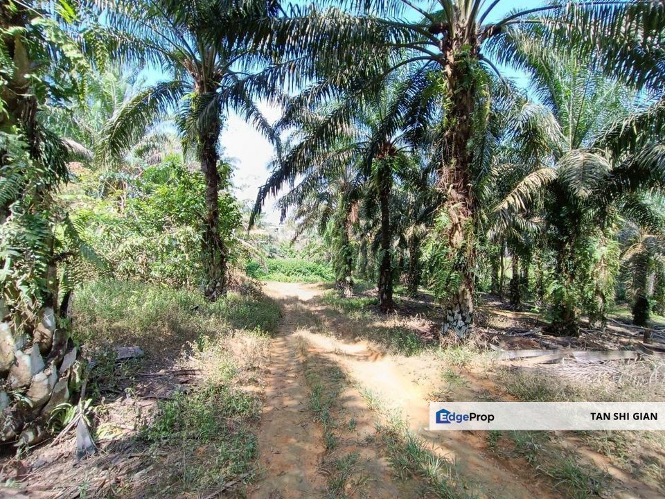 Kulai KotaTinggi 8.3 acre land for Sale, Johor, Kulai