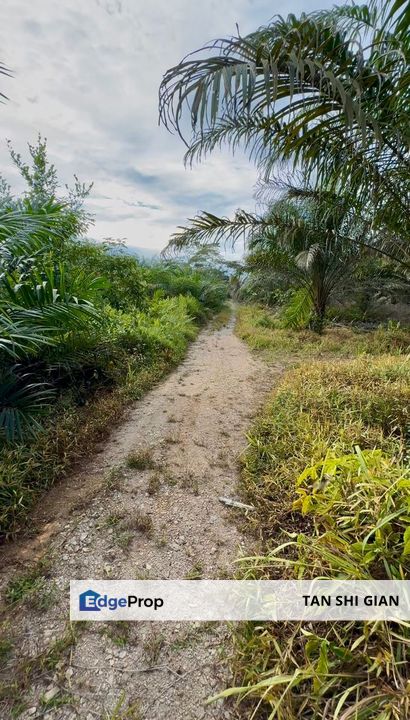 Pontian Parit Sikom 5.7 Acre Land for Sale, Johor, Pontian