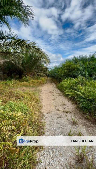 Pontian Parit Sikom 5.7 Acre Land for Sale, Johor, Pontian
