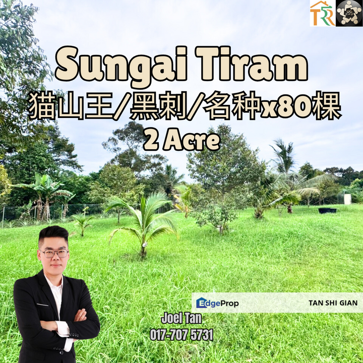 Sungai Tiram 2 acre Durian Land for Sale, Johor, Ulu Tiram