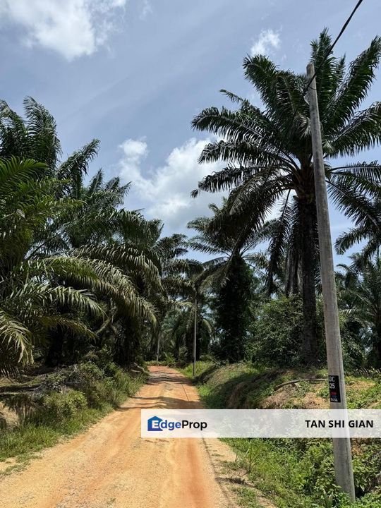 Machap Ayer Hitam 8.5Acre Land for Sale, Johor, Simpang Renggam