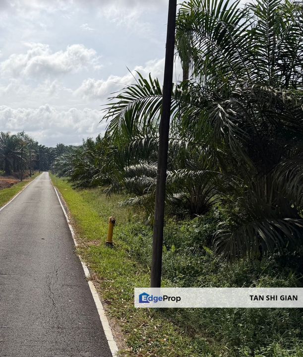 Kulai Ayer Bemban 5 acre Land for Sale, Johor, Kulai