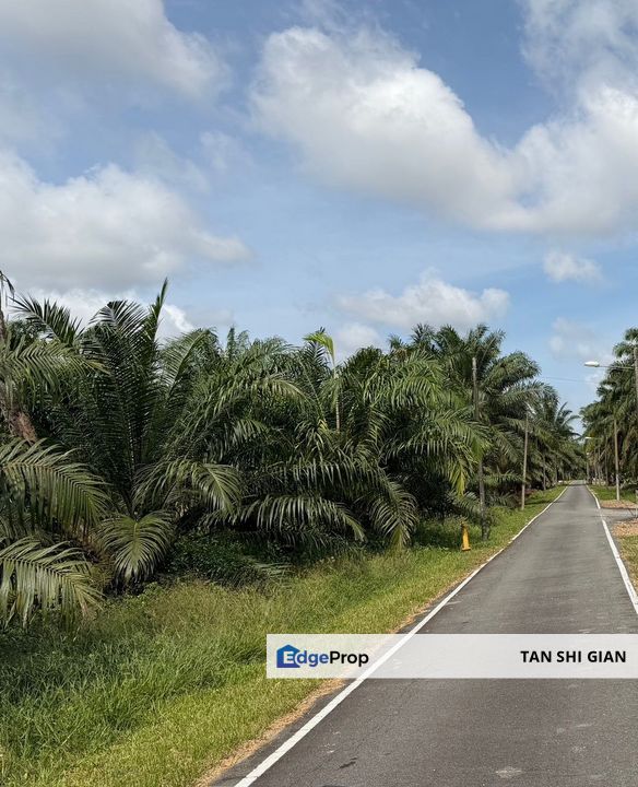 Kulai Ayer Bemban 5 acre Land for Sale, Johor, Kulai