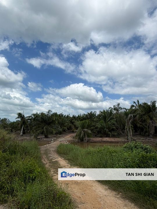 Batu Pahat 6.5 Acre Seaside land for Sale, Johor, Rengit