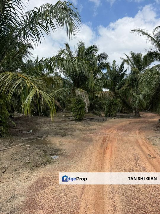 Batu Pahat 6.5 Acre Seaside land for Sale, Johor, Rengit