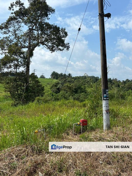 kota Tinggi Mawai 20Acre land for Sale, Johor, Kota Tinggi