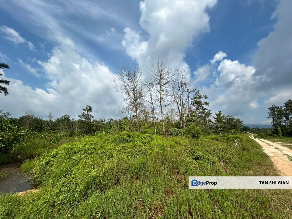 kota Tinggi Mawai 20Acre land for Sale, Johor, Kota Tinggi
