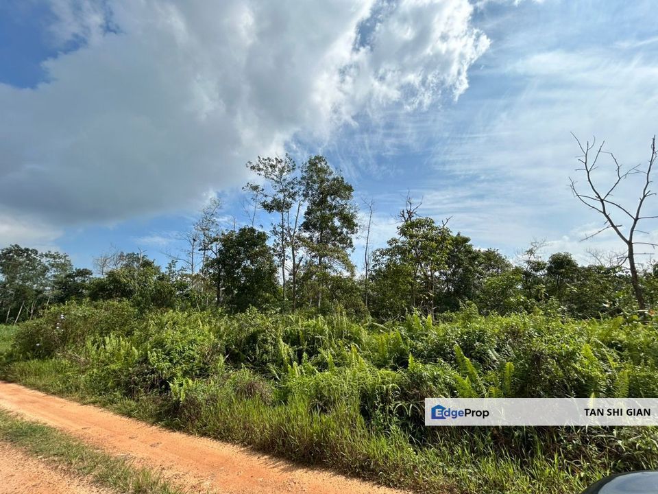 kota Tinggi Mawai 20Acre land for Sale, Johor, Kota Tinggi