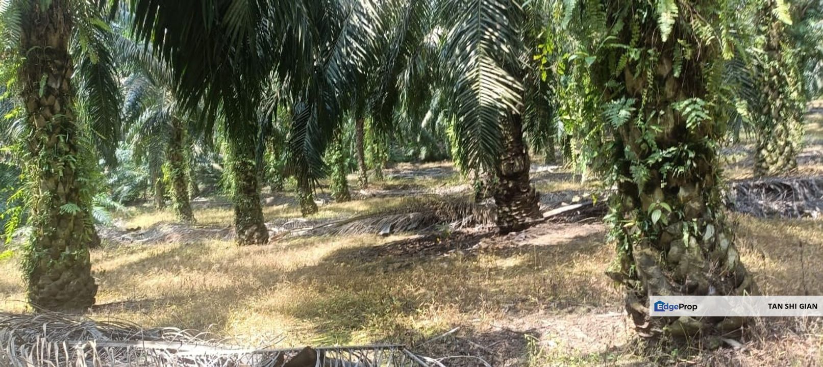 kulai 7.52 Acre land for Sale, Johor, Kulai