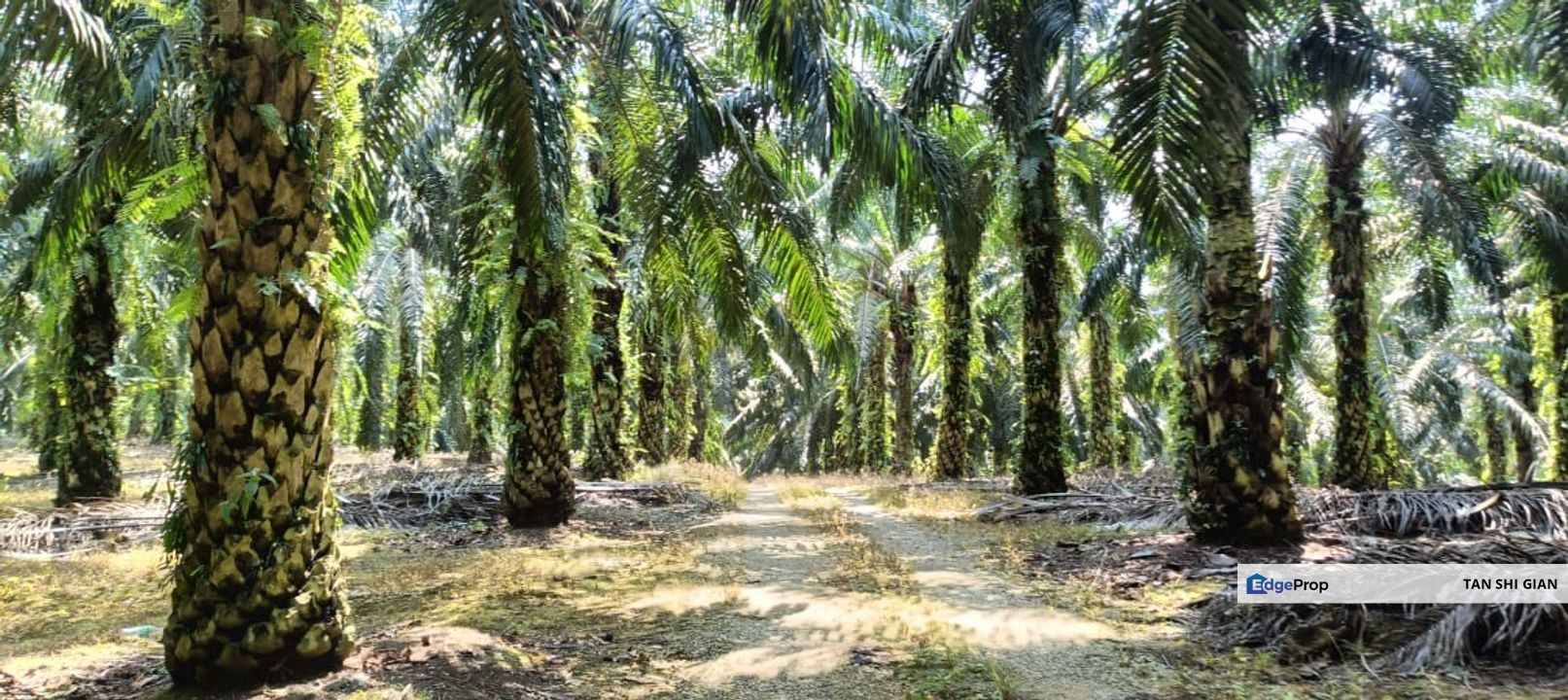 kulai 7.52 Acre land for Sale, Johor, Kulai