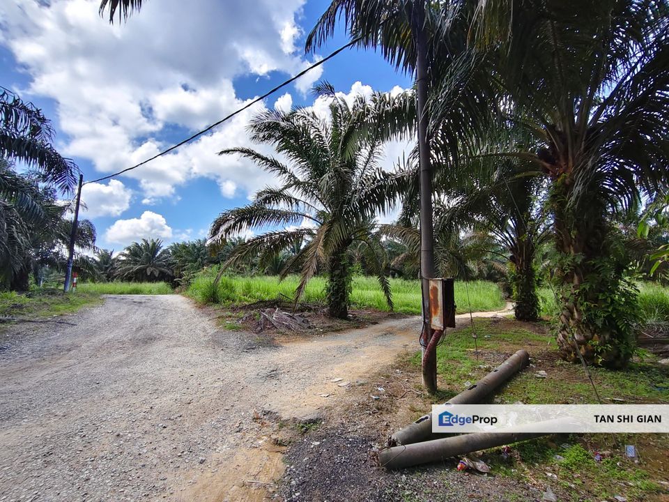 Kulai, Sengkang 6 acre land for Sale, Johor, Kulai