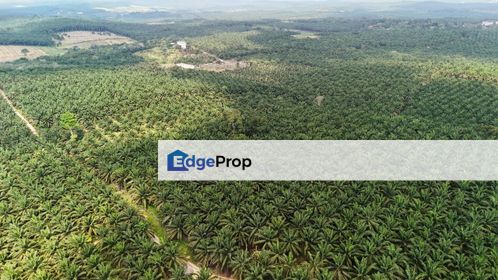 Agricultural Land For Sale @ Kota Tinggi, Johor, Kota Tinggi