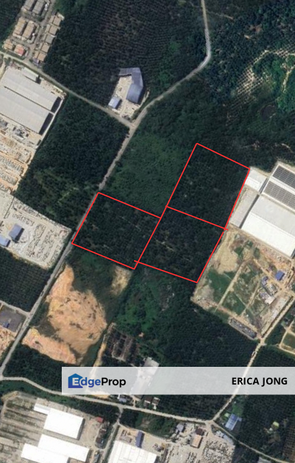 Agricultural Land For Sale @ Gelang Patah, Johor, Gelang Patah