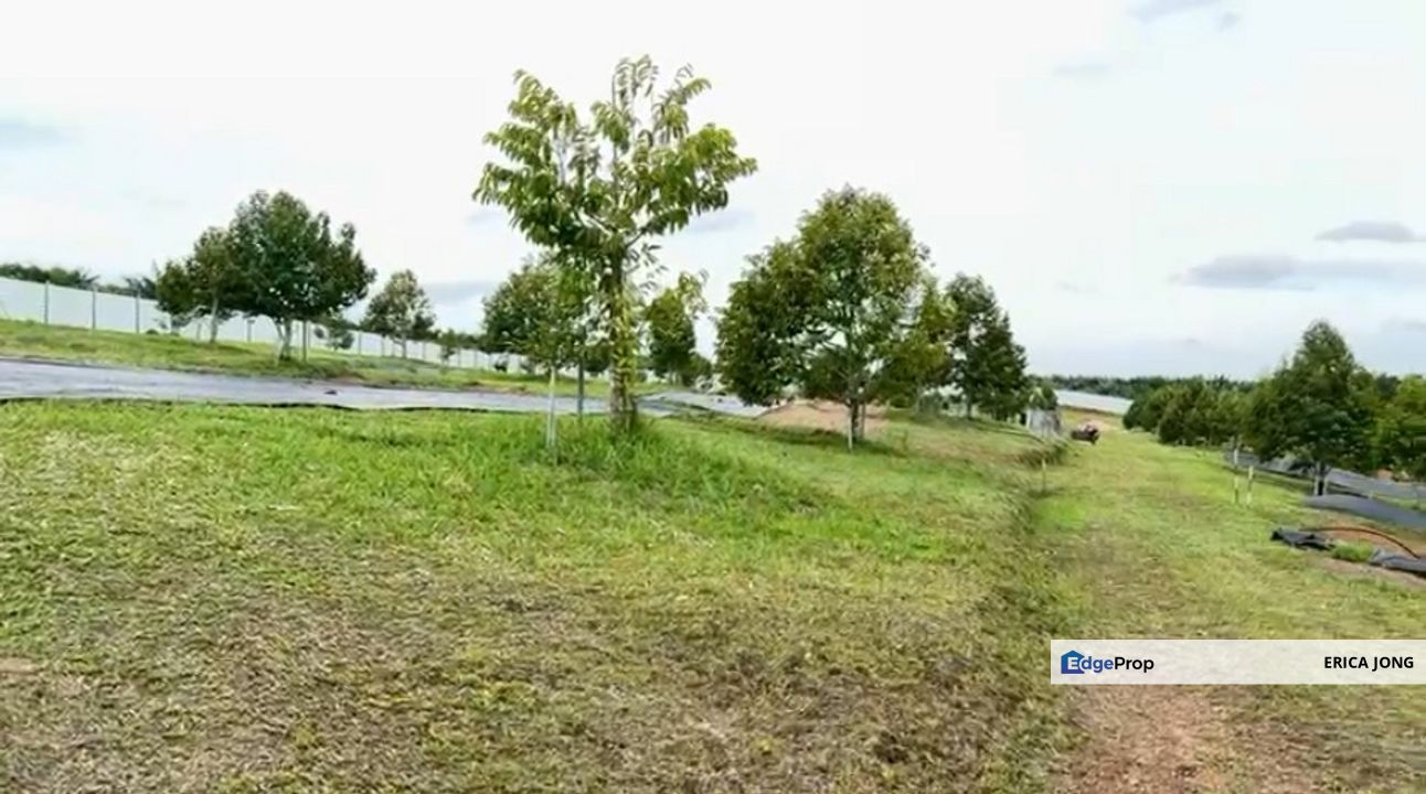 Durian Farm For Sale @ Kangkar Bahru, Johor, Yong Peng