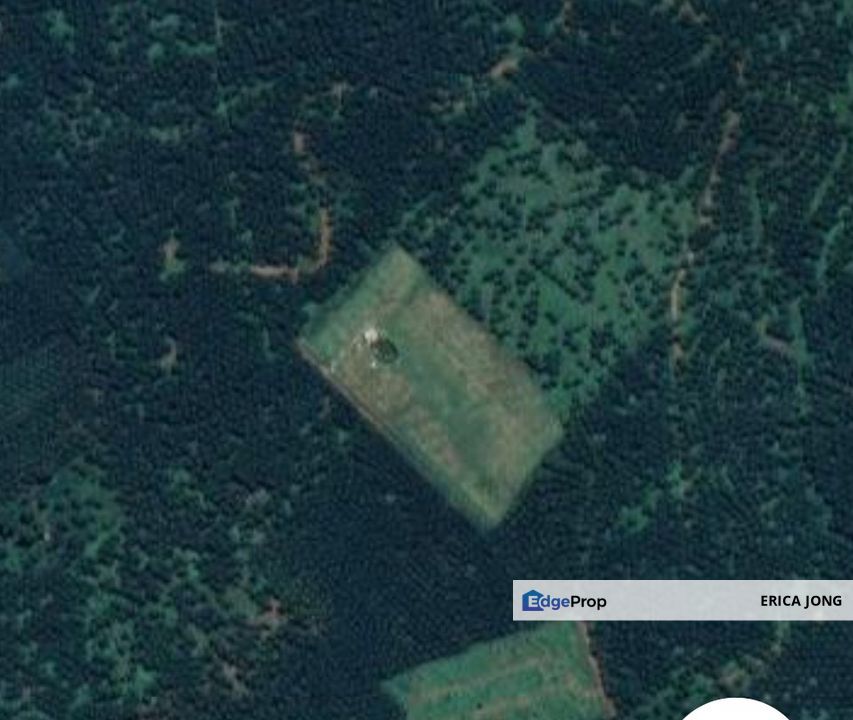 Durian Farm For Sale @ Kangkar Bahru, Johor, Yong Peng