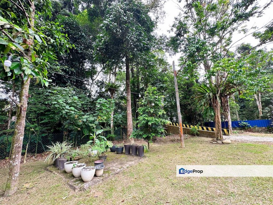 Exclusive Riverside Estate, Janda Baik Pahang For Sale, Pahang, Bentong