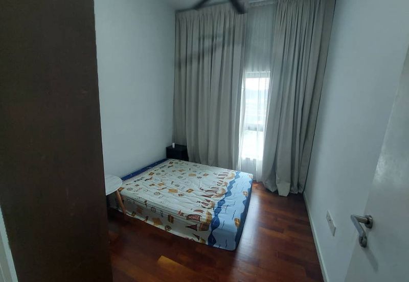 The Light Collection III