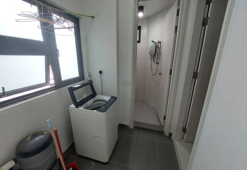 The Light Collection III