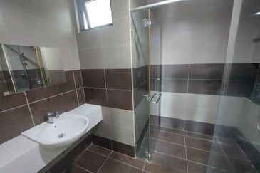 The Light Collection III