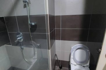 The Light Collection III