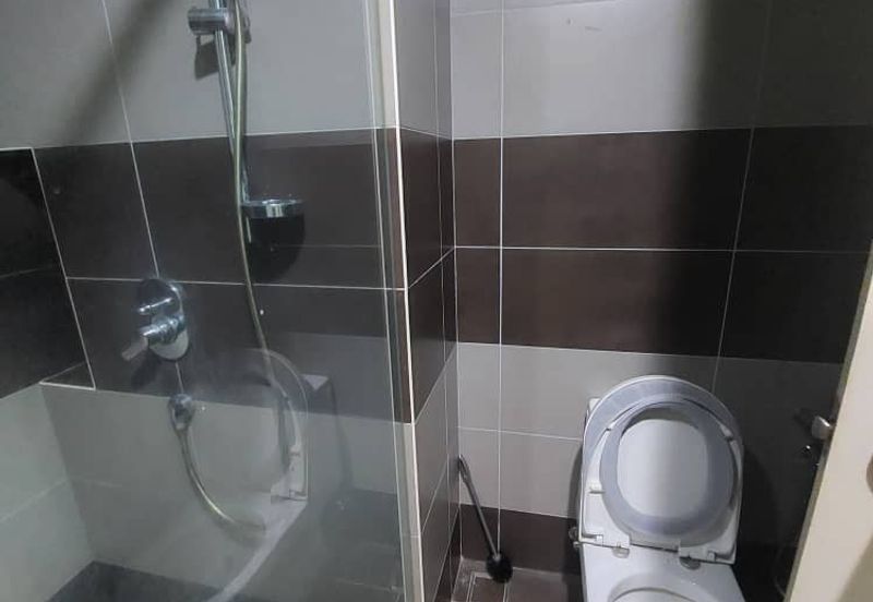 The Light Collection III